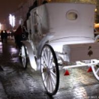 CARRIAGE RIDE 018