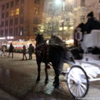 CARRIAGE RIDE 019